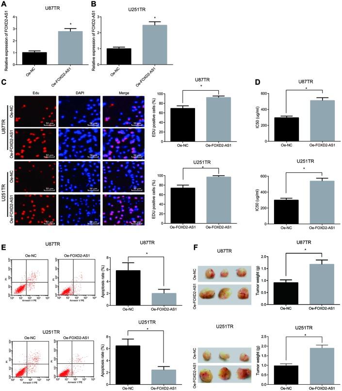 https://cdn.ncbi.nlm.nih.gov/pmc/blobs/a410/6914387/c1d0ecf50ba5/aging-11-102455-g005.jpg