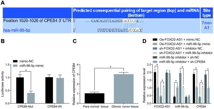https://cdn.ncbi.nlm.nih.gov/pmc/blobs/a410/6914387/e5eae4760bc0/aging-11-102455-g007.jpg