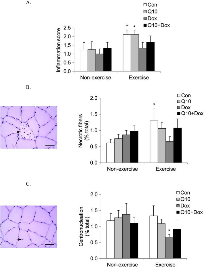 https://cdn.ncbi.nlm.nih.gov/pmc/blobs/a412/5377412/6ffa9e8887b0/JCSM-8-277-g002.jpg