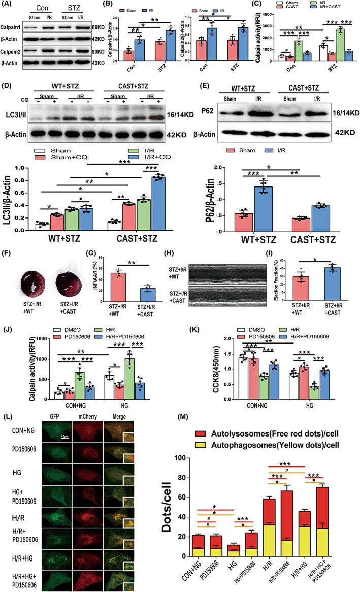 https://cdn.ncbi.nlm.nih.gov/pmc/blobs/a412/9843523/2bc007efc971/JCMM-27-232-g002.jpg