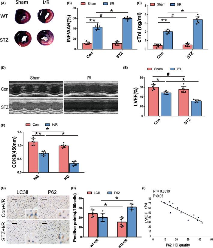 https://cdn.ncbi.nlm.nih.gov/pmc/blobs/a412/9843523/9107892a4e33/JCMM-27-232-g003.jpg