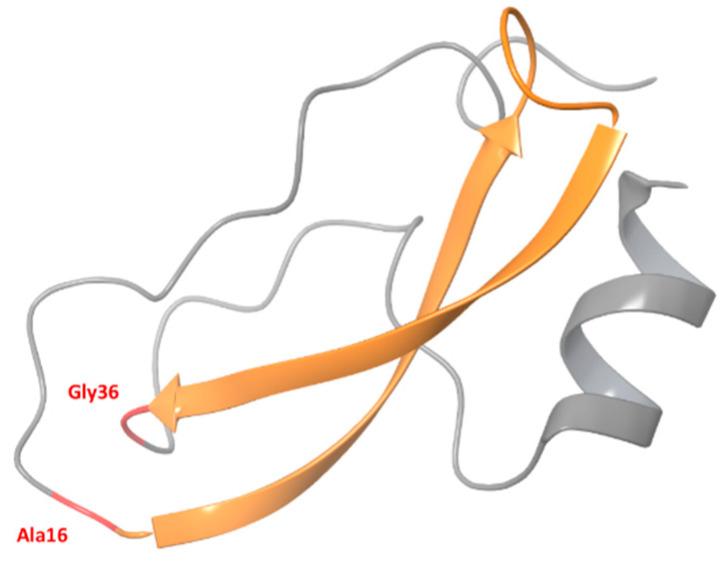 https://cdn.ncbi.nlm.nih.gov/pmc/blobs/a414/10342444/6c820b3314d4/ijms-24-11173-g001.jpg