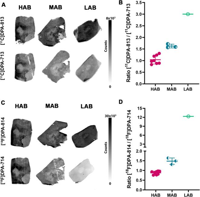 https://cdn.ncbi.nlm.nih.gov/pmc/blobs/a416/12119672/c7df559bb687/259_2025_7109_Fig3_HTML.jpg