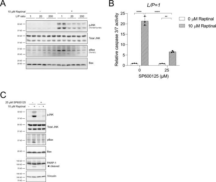 https://cdn.ncbi.nlm.nih.gov/pmc/blobs/a416/7902596/de8d81037796/10495_2020_1648_Fig5_HTML.jpg