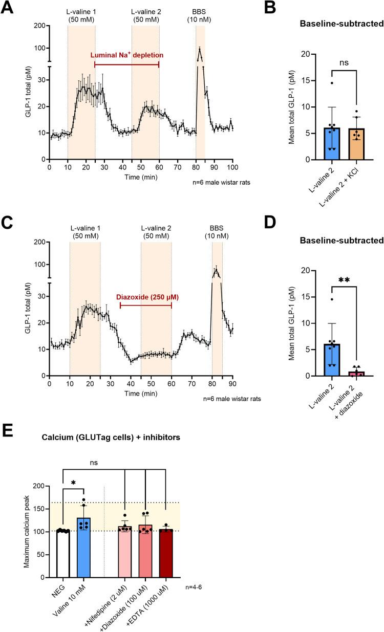 https://cdn.ncbi.nlm.nih.gov/pmc/blobs/a417/11166632/3fbc2ece0fd7/41387_2024_303_Fig3_HTML.jpg