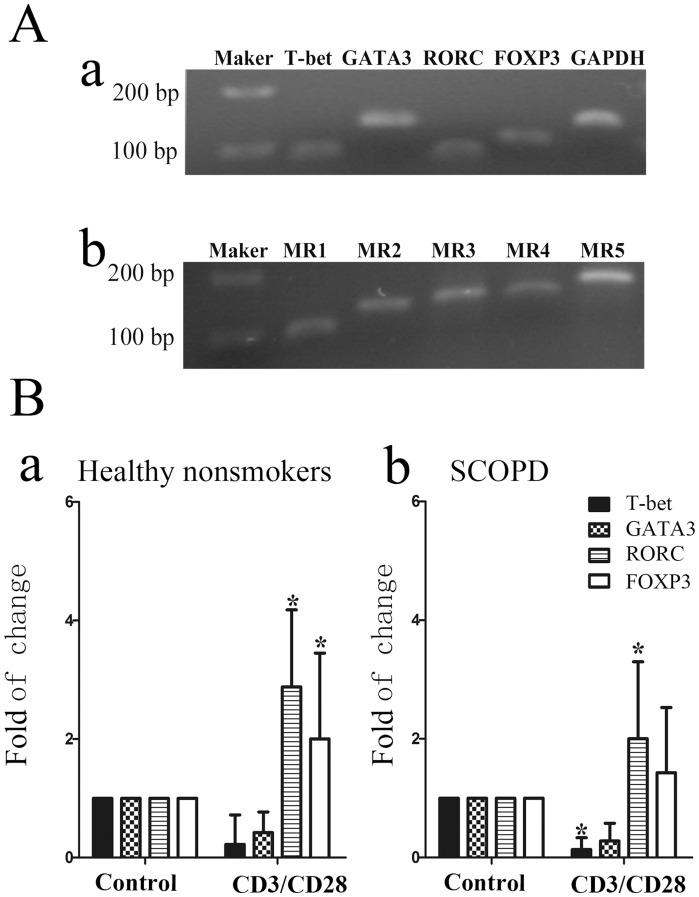 https://cdn.ncbi.nlm.nih.gov/pmc/blobs/a417/4223024/a1570feb936d/pone.0112350.g004.jpg