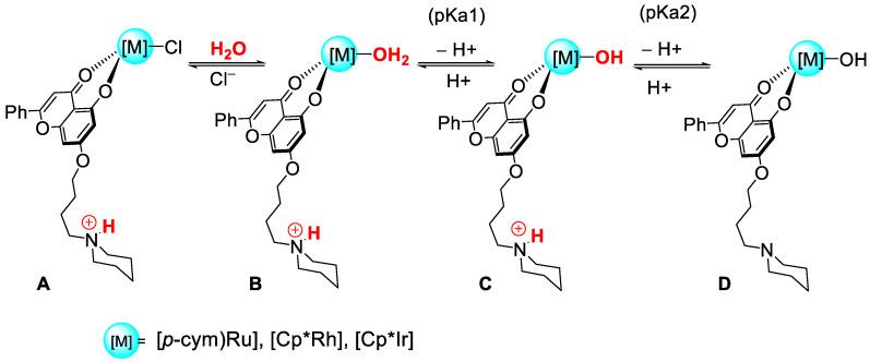 https://cdn.ncbi.nlm.nih.gov/pmc/blobs/a418/8537477/02af62ba7fb1/pharmaceutics-13-01540-sch002.jpg
