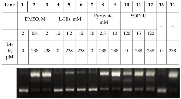 https://cdn.ncbi.nlm.nih.gov/pmc/blobs/a418/8537477/5dadfde98839/pharmaceutics-13-01540-g009.jpg