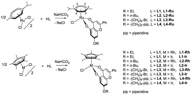 https://cdn.ncbi.nlm.nih.gov/pmc/blobs/a418/8537477/8603a8350281/pharmaceutics-13-01540-sch001.jpg