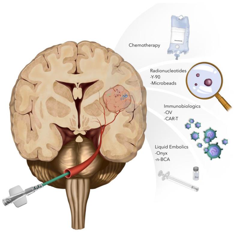 https://cdn.ncbi.nlm.nih.gov/pmc/blobs/a419/11049132/5d9bdf5a38e5/cancers-16-01594-g002.jpg
