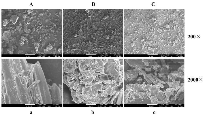 https://cdn.ncbi.nlm.nih.gov/pmc/blobs/a41a/10608965/fa60f5817af0/molecules-28-07164-g001.jpg