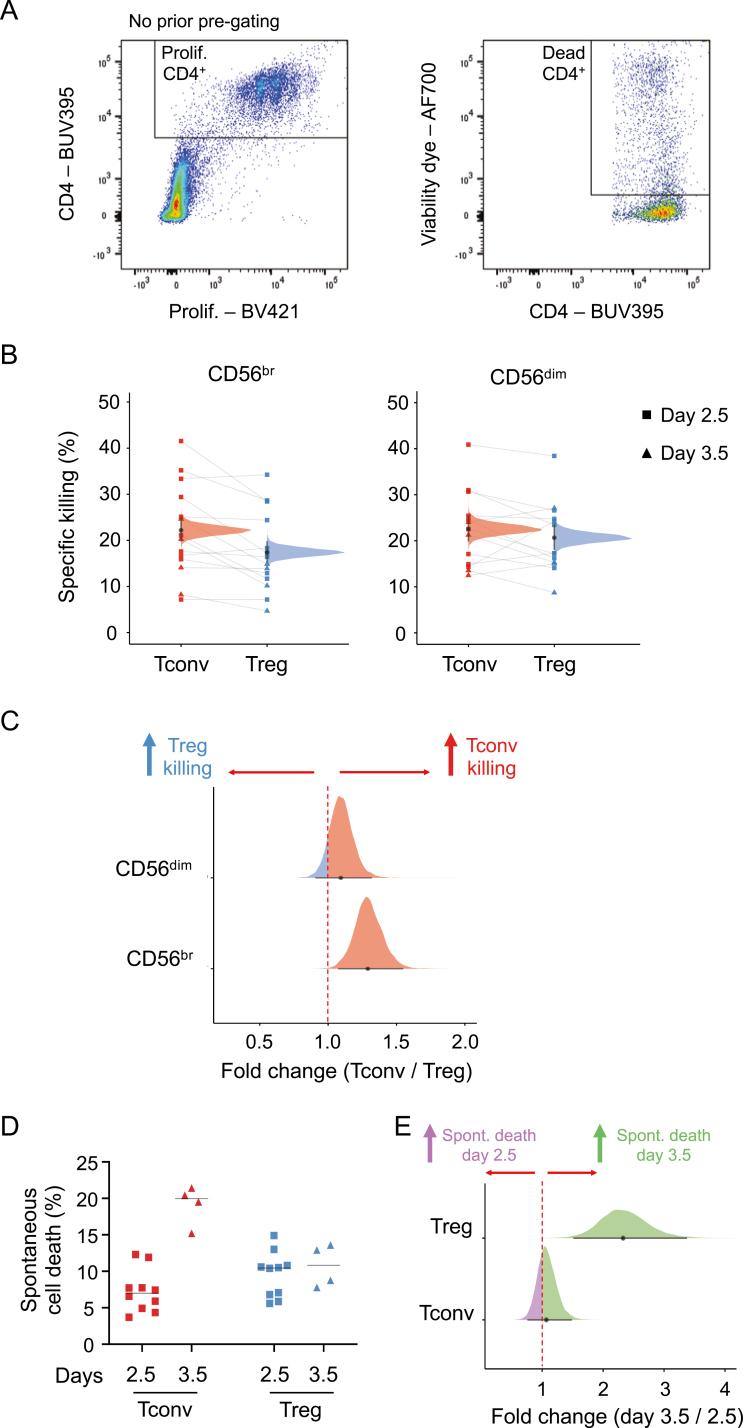 https://cdn.ncbi.nlm.nih.gov/pmc/blobs/a41a/10917165/6deca06cf08f/kyad012_fig2.jpg