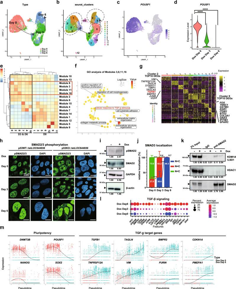 https://cdn.ncbi.nlm.nih.gov/pmc/blobs/a41a/12102190/032cbcd1d3d4/41467_2025_59886_Fig4_HTML.jpg
