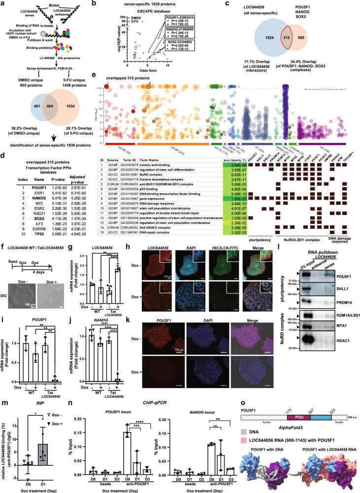 https://cdn.ncbi.nlm.nih.gov/pmc/blobs/a41a/12102190/b0f6d88c582c/41467_2025_59886_Fig3_HTML.jpg