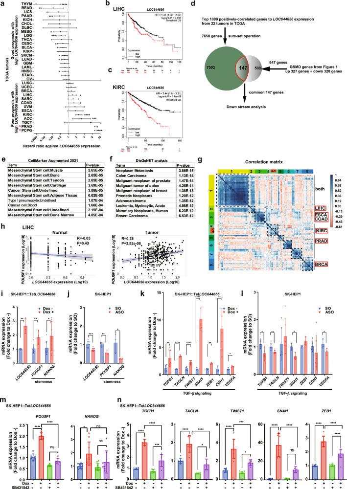 https://cdn.ncbi.nlm.nih.gov/pmc/blobs/a41a/12102190/cf3d327caa72/41467_2025_59886_Fig6_HTML.jpg