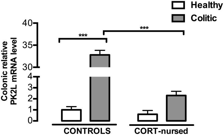 https://cdn.ncbi.nlm.nih.gov/pmc/blobs/a41a/5340375/64514c81afdc/pone.0173484.g006.jpg