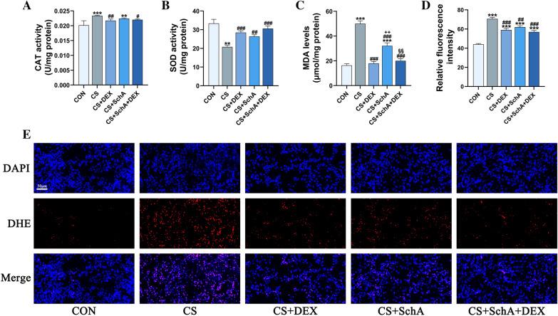https://cdn.ncbi.nlm.nih.gov/pmc/blobs/a420/10316617/bfae46603395/40001_2023_1190_Fig5_HTML.jpg