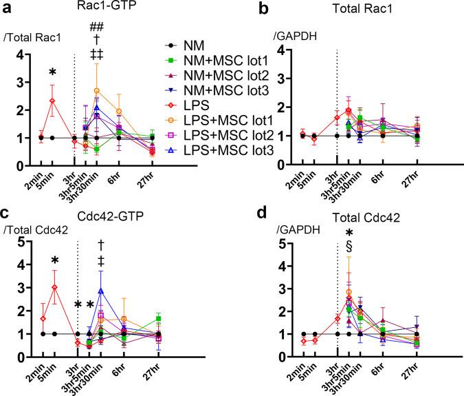 https://cdn.ncbi.nlm.nih.gov/pmc/blobs/a420/7961004/ca2dc4c1a5d9/41420_2021_436_Fig5_HTML.jpg