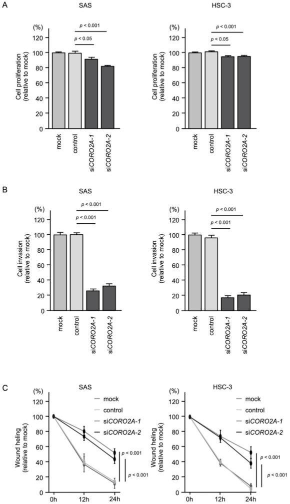 https://cdn.ncbi.nlm.nih.gov/pmc/blobs/a420/8657730/20febee9384b/ijms-22-12684-g006.jpg