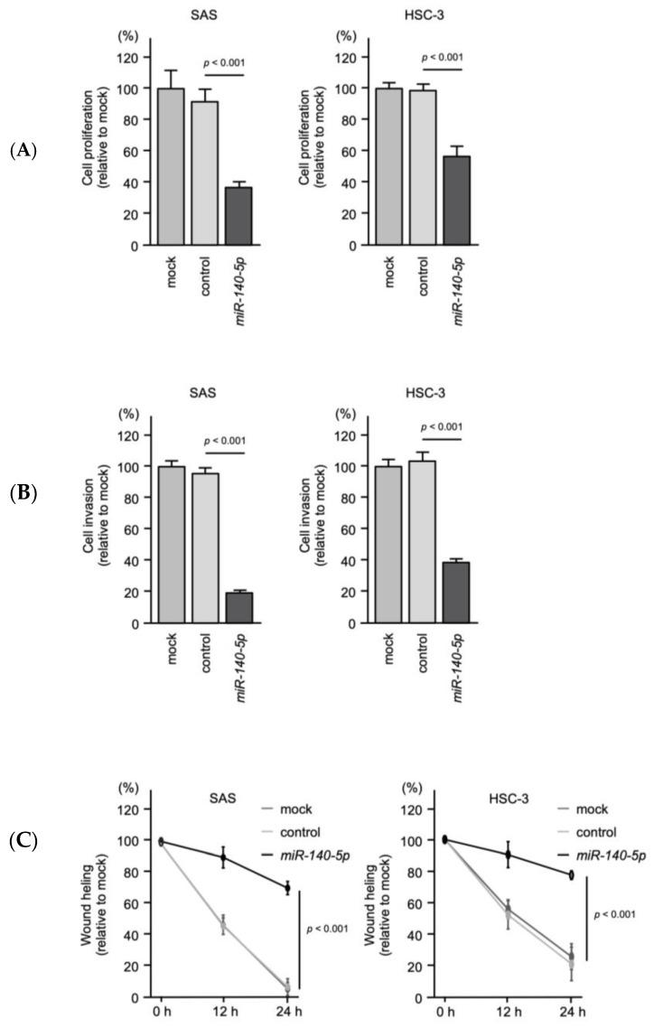 https://cdn.ncbi.nlm.nih.gov/pmc/blobs/a420/8657730/8b0f242376d3/ijms-22-12684-g011.jpg