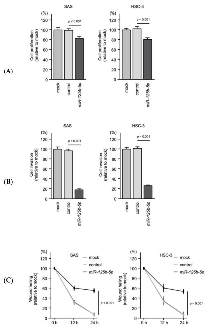 https://cdn.ncbi.nlm.nih.gov/pmc/blobs/a420/8657730/dd7b16434cb8/ijms-22-12684-g010.jpg