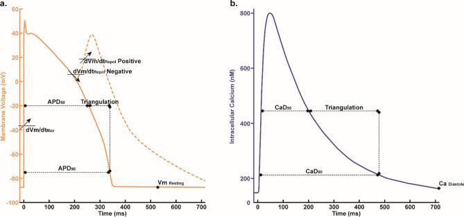 https://cdn.ncbi.nlm.nih.gov/pmc/blobs/a428/11473646/1a9c5dfa2a53/41598_2024_71169_Fig2_HTML.jpg