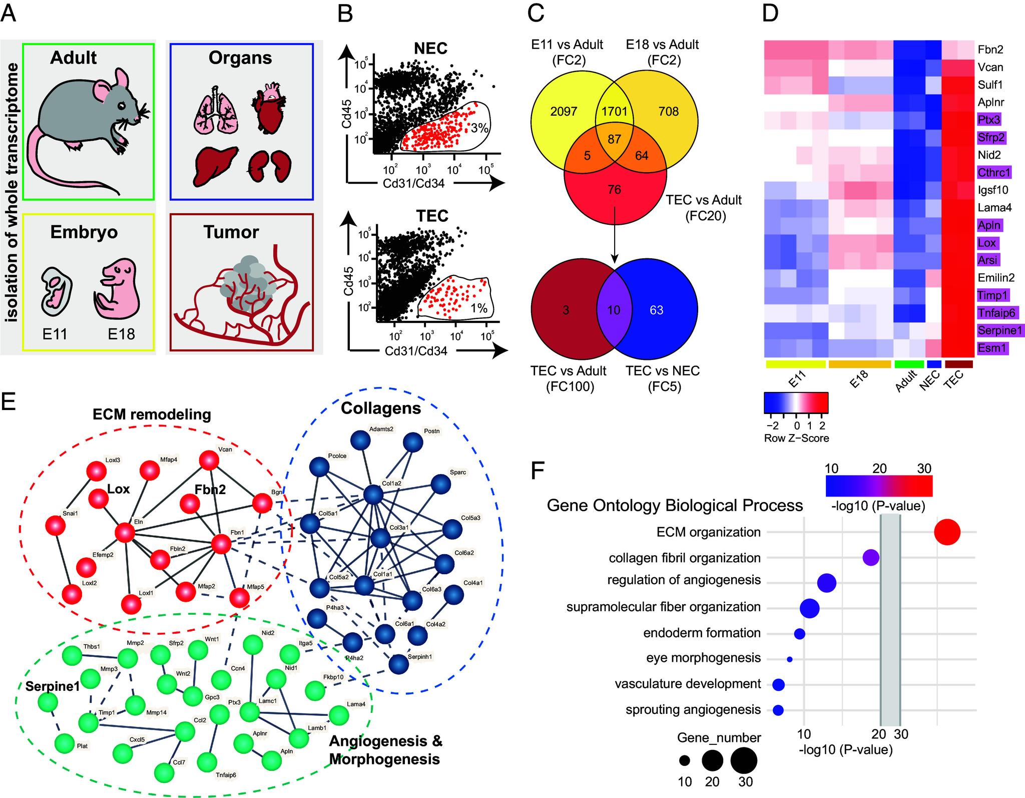 https://cdn.ncbi.nlm.nih.gov/pmc/blobs/a429/11962416/78b78352c190/pnas.2424730122fig01.jpg