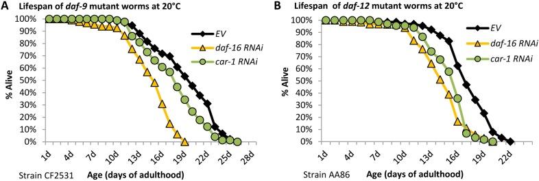 https://cdn.ncbi.nlm.nih.gov/pmc/blobs/a42c/6277199/103553ba5871/elife-38635-fig3-figsupp1.jpg
