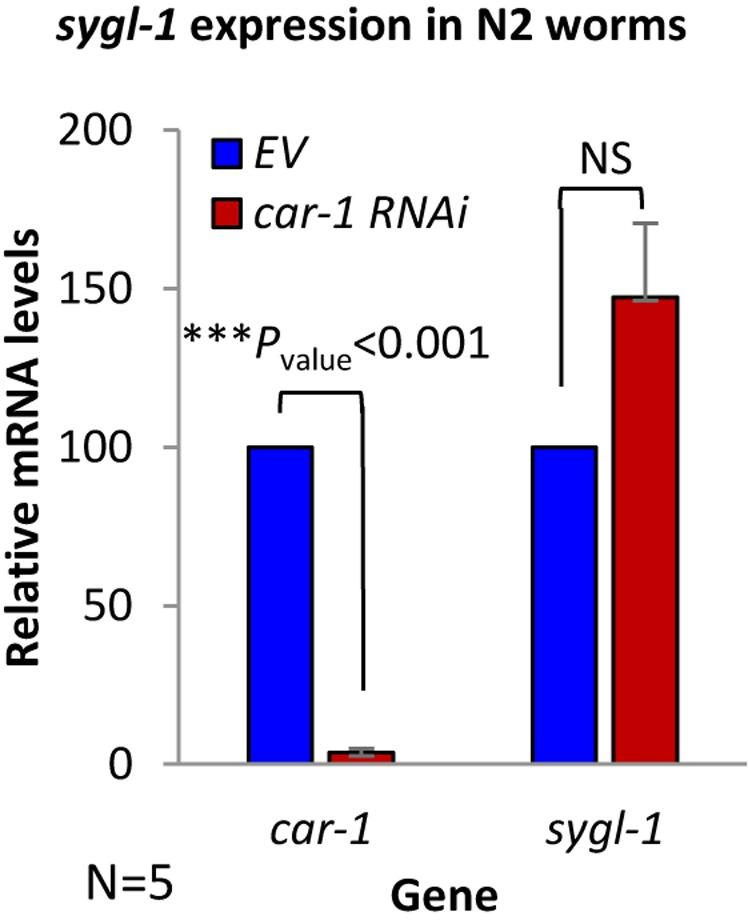 https://cdn.ncbi.nlm.nih.gov/pmc/blobs/a42c/6277199/23868a812ce7/elife-38635-fig3-figsupp4.jpg