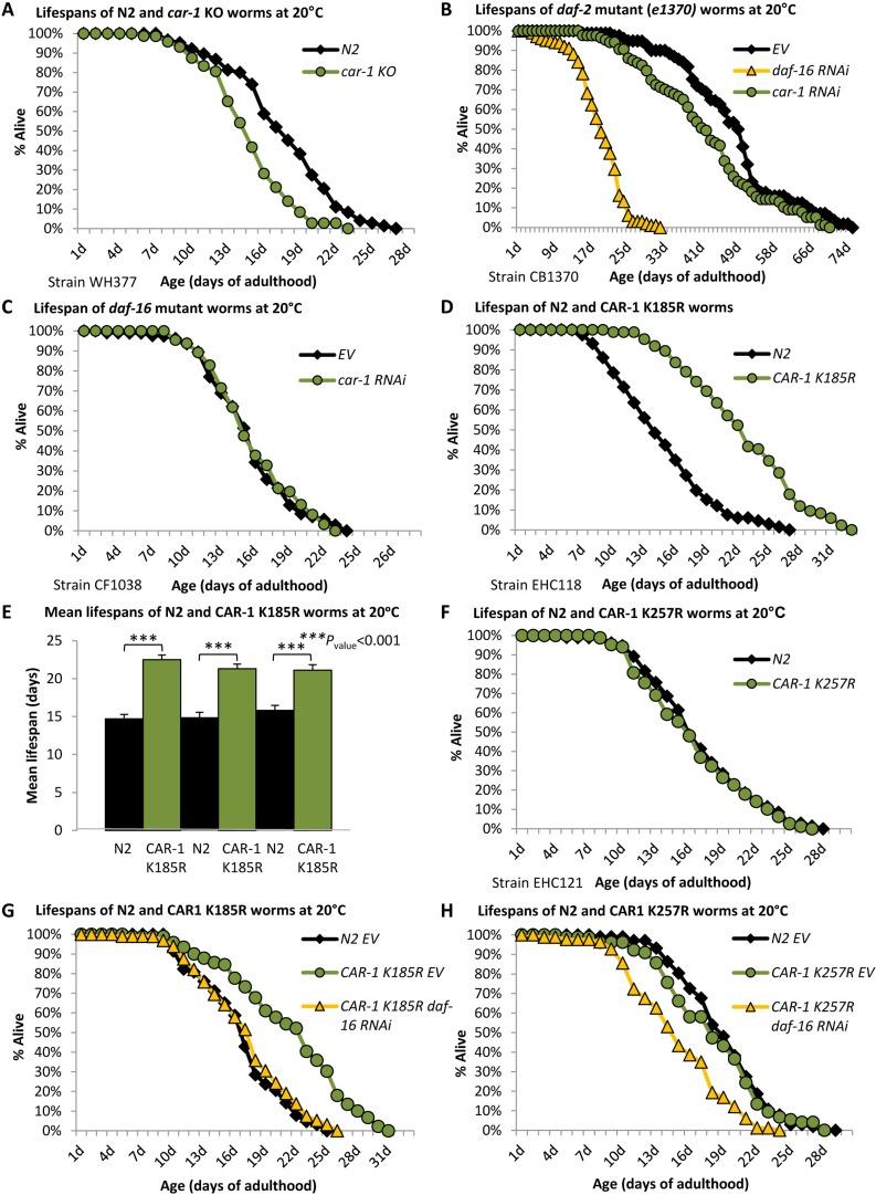 https://cdn.ncbi.nlm.nih.gov/pmc/blobs/a42c/6277199/5402b71f2aa9/elife-38635-fig2.jpg