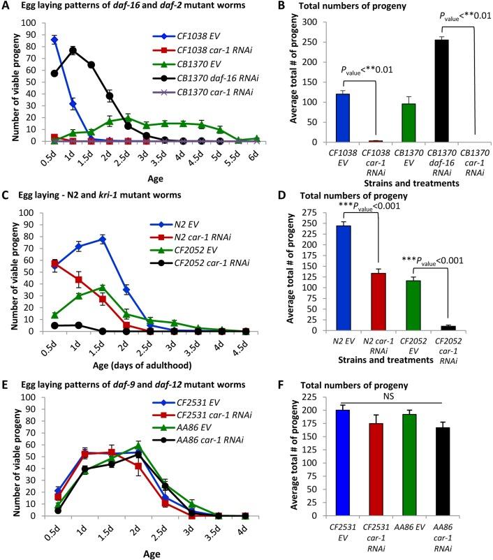 https://cdn.ncbi.nlm.nih.gov/pmc/blobs/a42c/6277199/587fd690a797/elife-38635-fig3-figsupp2.jpg