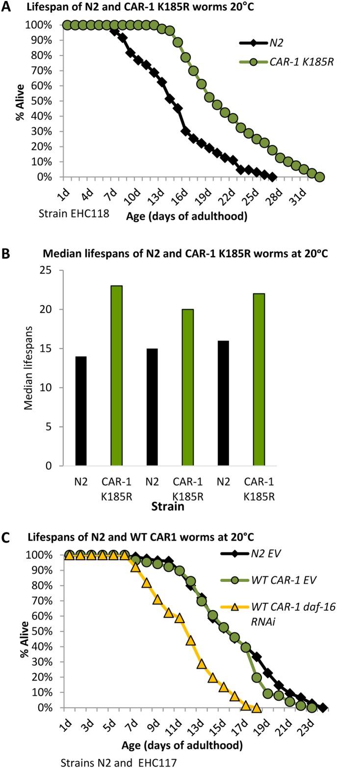 https://cdn.ncbi.nlm.nih.gov/pmc/blobs/a42c/6277199/740fcc498530/elife-38635-fig2-figsupp4.jpg
