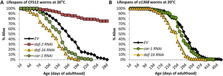 https://cdn.ncbi.nlm.nih.gov/pmc/blobs/a42c/6277199/8593089f5b98/elife-38635-fig2-figsupp1.jpg