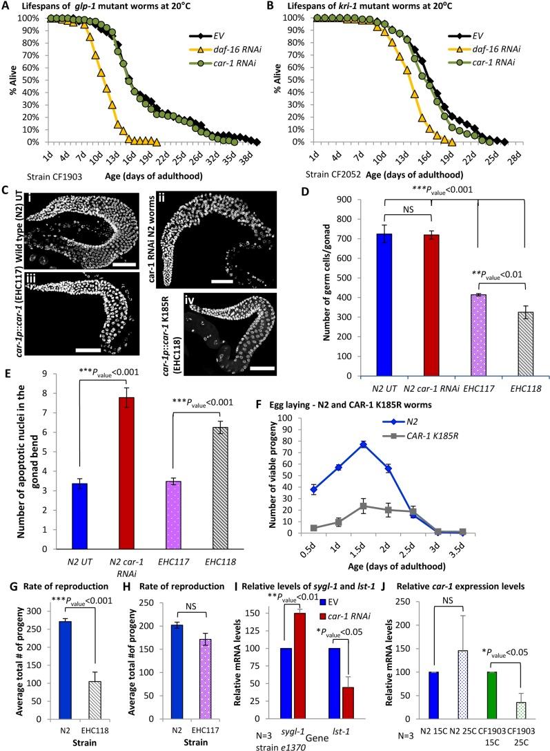 https://cdn.ncbi.nlm.nih.gov/pmc/blobs/a42c/6277199/8ff163f84c65/elife-38635-fig3.jpg