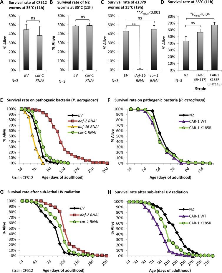 https://cdn.ncbi.nlm.nih.gov/pmc/blobs/a42c/6277199/e67cf01f4e99/elife-38635-fig6.jpg