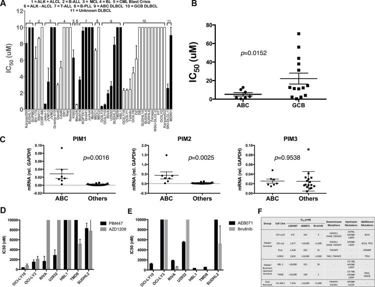 https://cdn.ncbi.nlm.nih.gov/pmc/blobs/a42d/5325370/90e36912f19f/oncotarget-07-63362-g001.jpg