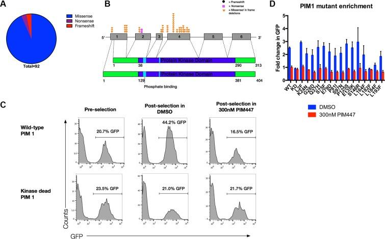 https://cdn.ncbi.nlm.nih.gov/pmc/blobs/a42d/5325370/b27e59f6cb6c/oncotarget-07-63362-g004.jpg