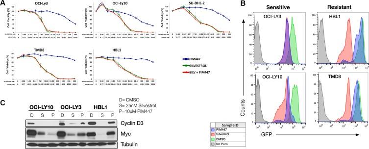 https://cdn.ncbi.nlm.nih.gov/pmc/blobs/a42d/5325370/e43e54ddc3ef/oncotarget-07-63362-g003.jpg