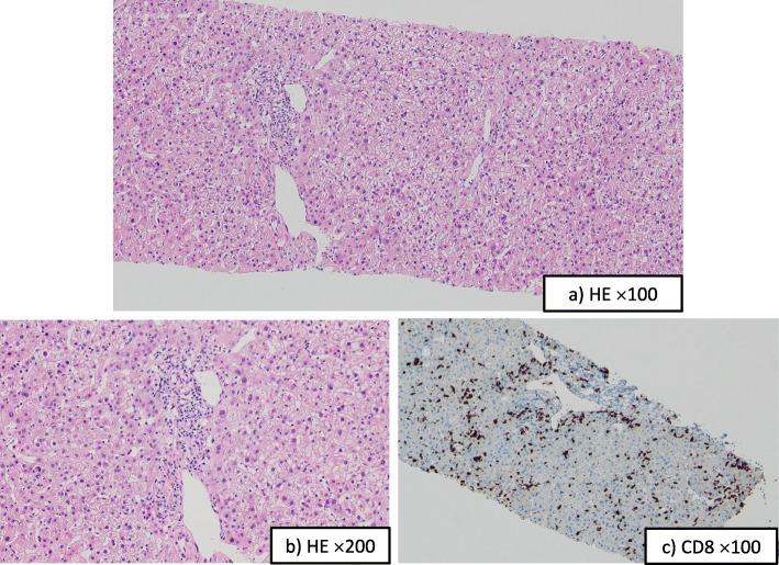 https://cdn.ncbi.nlm.nih.gov/pmc/blobs/a42e/7689984/7ad20f7c4920/13256_2020_2541_Fig3_HTML.jpg