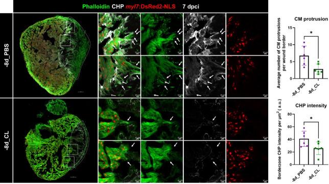 https://cdn.ncbi.nlm.nih.gov/pmc/blobs/a435/10411971/893a92aa3059/elife-84679-sa2-fig1.jpg