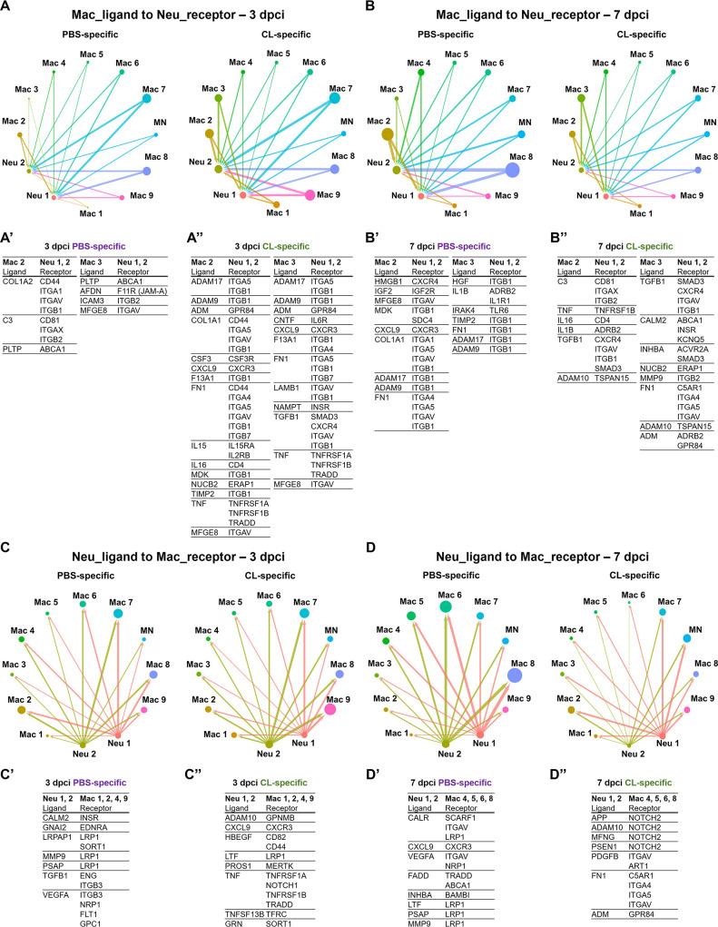https://cdn.ncbi.nlm.nih.gov/pmc/blobs/a435/10411971/ac0b88a7d2b0/elife-84679-fig5.jpg