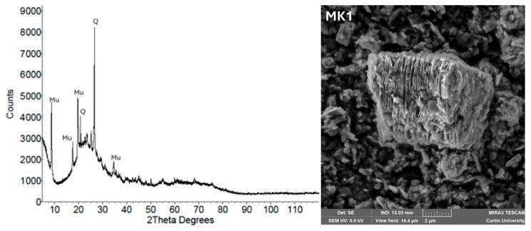 https://cdn.ncbi.nlm.nih.gov/pmc/blobs/a436/12387169/8ffddb09e9e9/materials-18-03823-g007.jpg