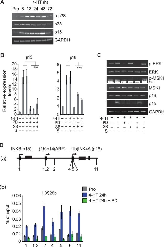 https://cdn.ncbi.nlm.nih.gov/pmc/blobs/a437/5007092/241a624398de/2726fig5.jpg