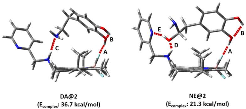 https://cdn.ncbi.nlm.nih.gov/pmc/blobs/a438/11314322/d0d91804a533/molecules-29-03714-g003.jpg