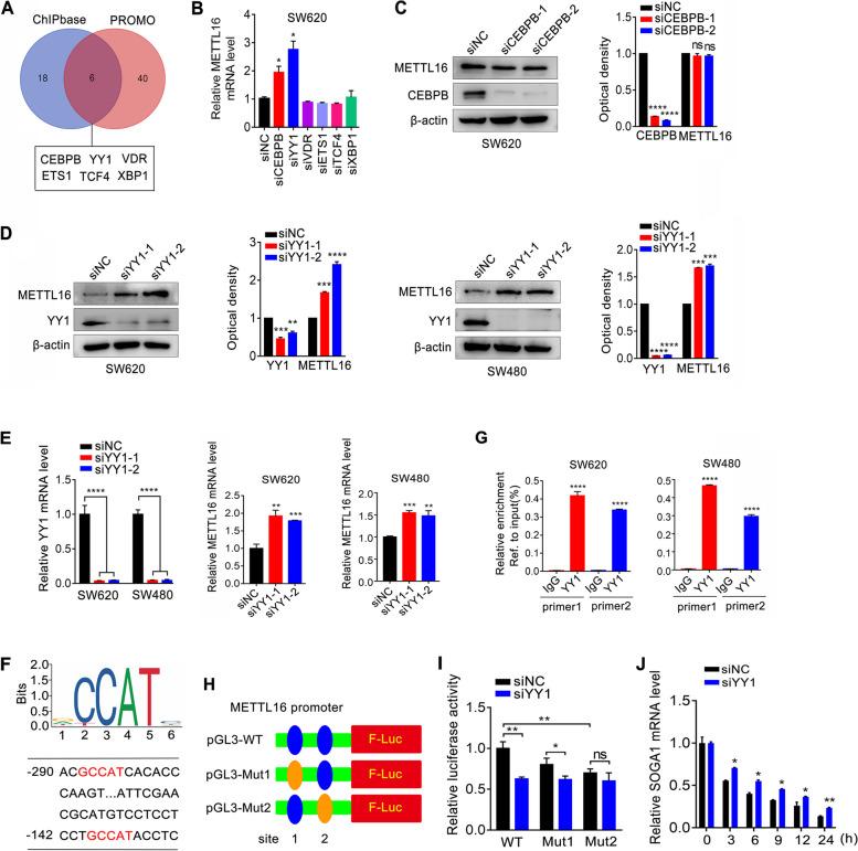https://cdn.ncbi.nlm.nih.gov/pmc/blobs/a439/10280857/2ad190820cb5/13046_2023_2732_Fig7_HTML.jpg