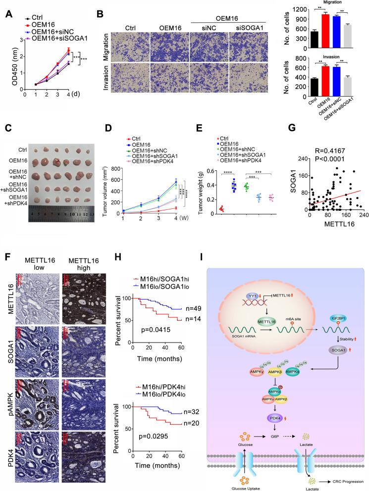 https://cdn.ncbi.nlm.nih.gov/pmc/blobs/a439/10280857/38112af463ac/13046_2023_2732_Fig8_HTML.jpg