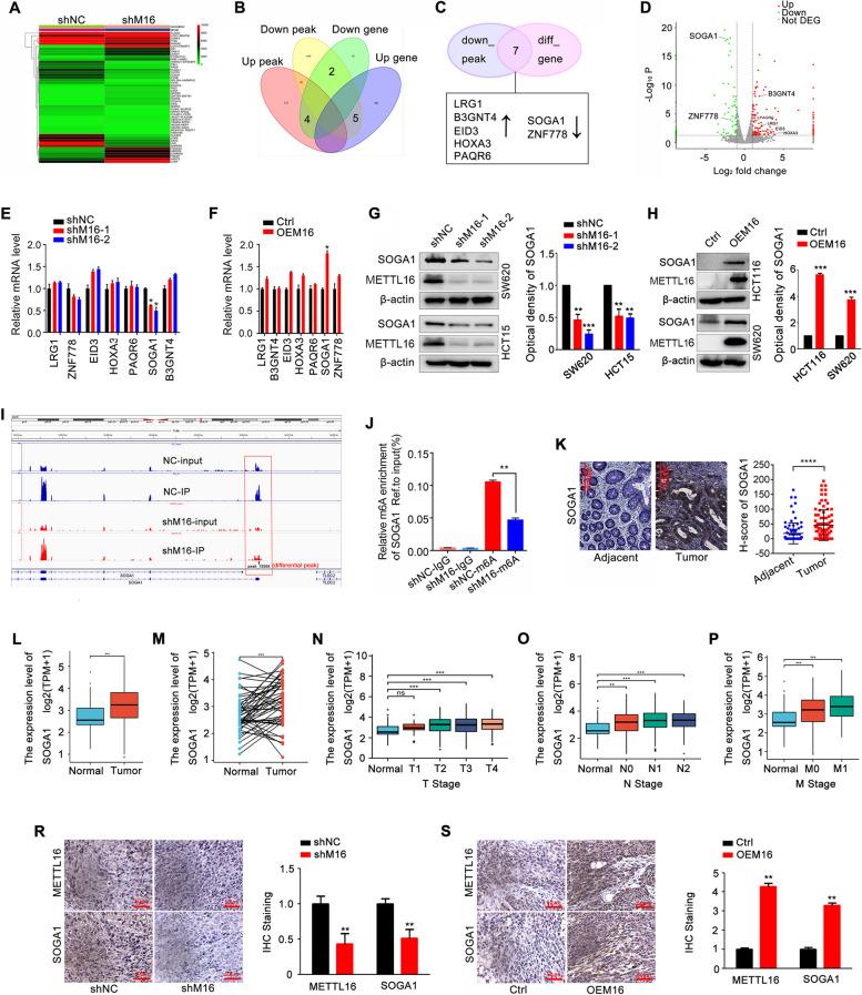 https://cdn.ncbi.nlm.nih.gov/pmc/blobs/a439/10280857/f9105ff82e74/13046_2023_2732_Fig3_HTML.jpg