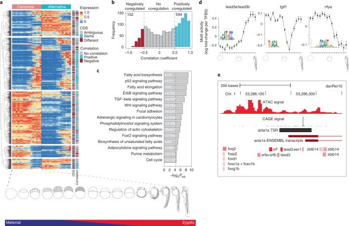 https://cdn.ncbi.nlm.nih.gov/pmc/blobs/a43a/9279159/0c933f4947e4/41588_2022_1089_Fig3_HTML.jpg