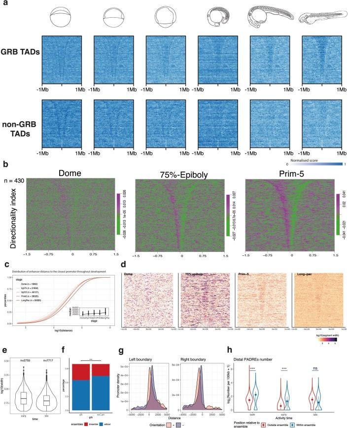https://cdn.ncbi.nlm.nih.gov/pmc/blobs/a43a/9279159/7517cb780db6/41588_2022_1089_Fig16_ESM.jpg