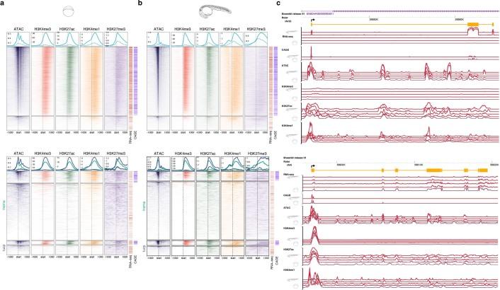 https://cdn.ncbi.nlm.nih.gov/pmc/blobs/a43a/9279159/76115ce74aa4/41588_2022_1089_Fig10_ESM.jpg